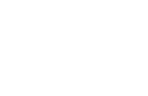 Shopify Woo Logos